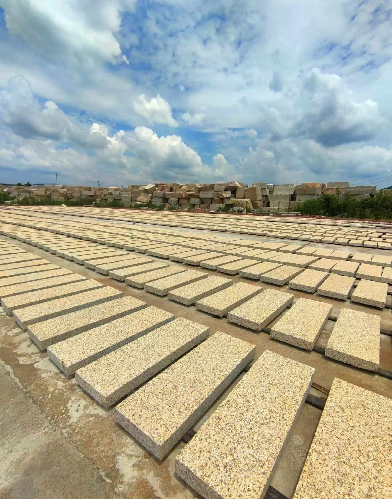 毕节 黄金麻荔枝面花岗岩石材地铺石防护中