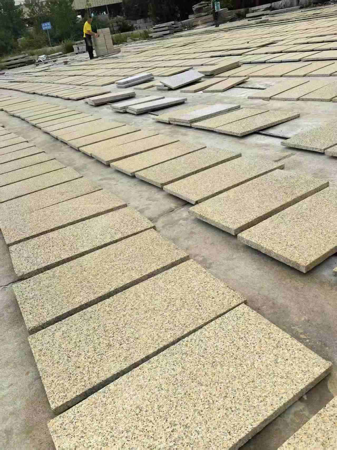 毕节 黄金麻荔枝地铺石面排板