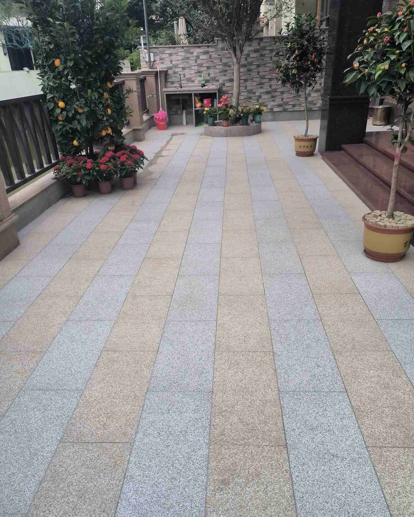 毕节 黄金麻白麻荔枝面庭院铺装展示